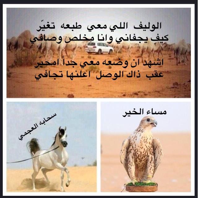 sa7bh2's tweet photo. ياوليفي

http://t.co/vJLlqeQ1XS http://t.co/gbP17JWz9v