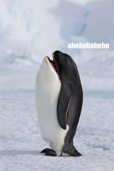 SpeakComedy's tweet photo. Pretty much my favorite photoshopped picture of all time http://t.co/sg5p9U6MYZ
