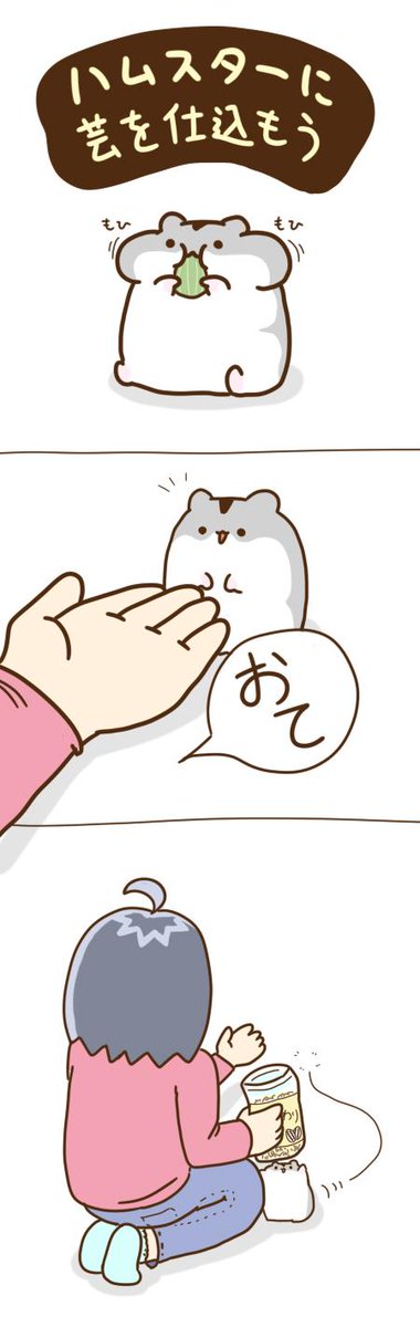 ハムスターに芸を仕組もう 