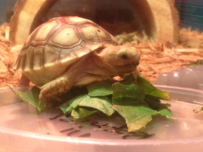 Watch mikey's leaked NSFW photo on TwXstars