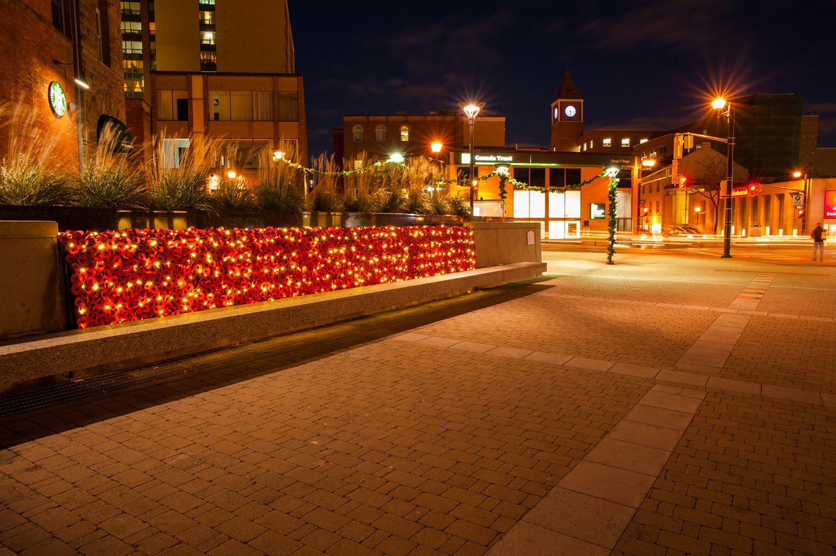 CityBrampton's tweet photo. The Poppy Waterfall in Brampton's Garden Square looks great, day or night. #LestWeForget http://t.co/YwskaAQ2SO