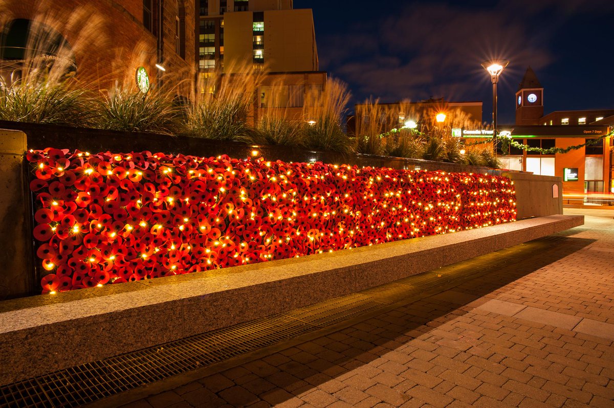 CityBrampton's tweet photo. The Poppy Waterfall in Brampton's Garden Square looks great, day or night. #LestWeForget http://t.co/YwskaAQ2SO