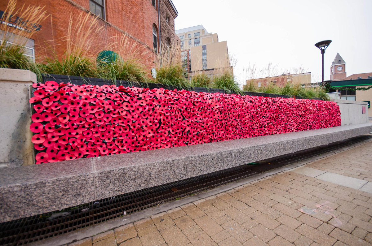 CityBrampton's tweet photo. The Poppy Waterfall in Brampton's Garden Square looks great, day or night. #LestWeForget http://t.co/YwskaAQ2SO