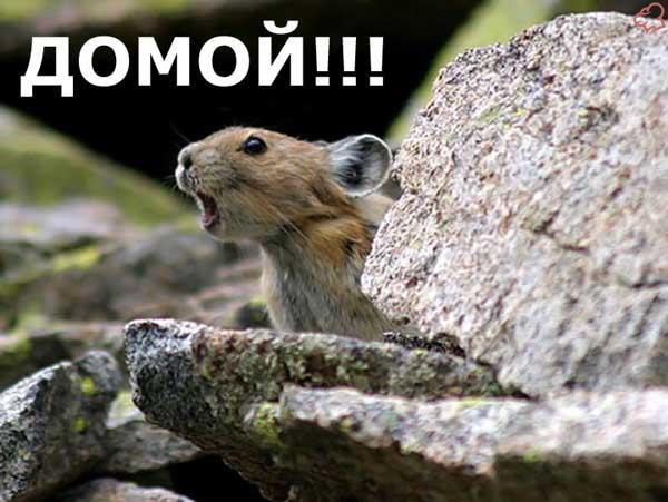 JobRest's tweet image. Не задерживайтесь долго!) #конецдня #работа #конец #рабочеевремя