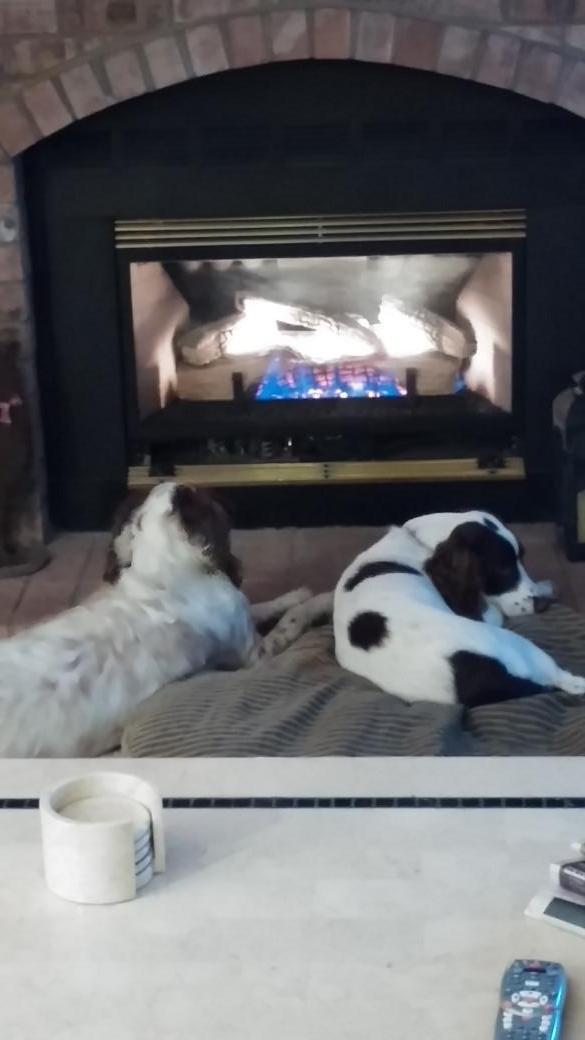 daisy duke tweet media