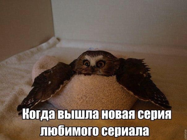 Ох, этот волнующий момент.
