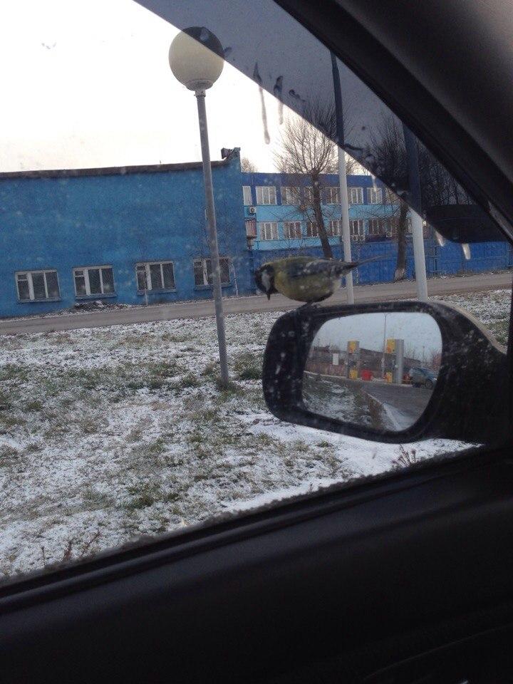 SolovyevVD's tweet photo. Из самых интересных событий дня http://t.co/t5jivYQPJJ