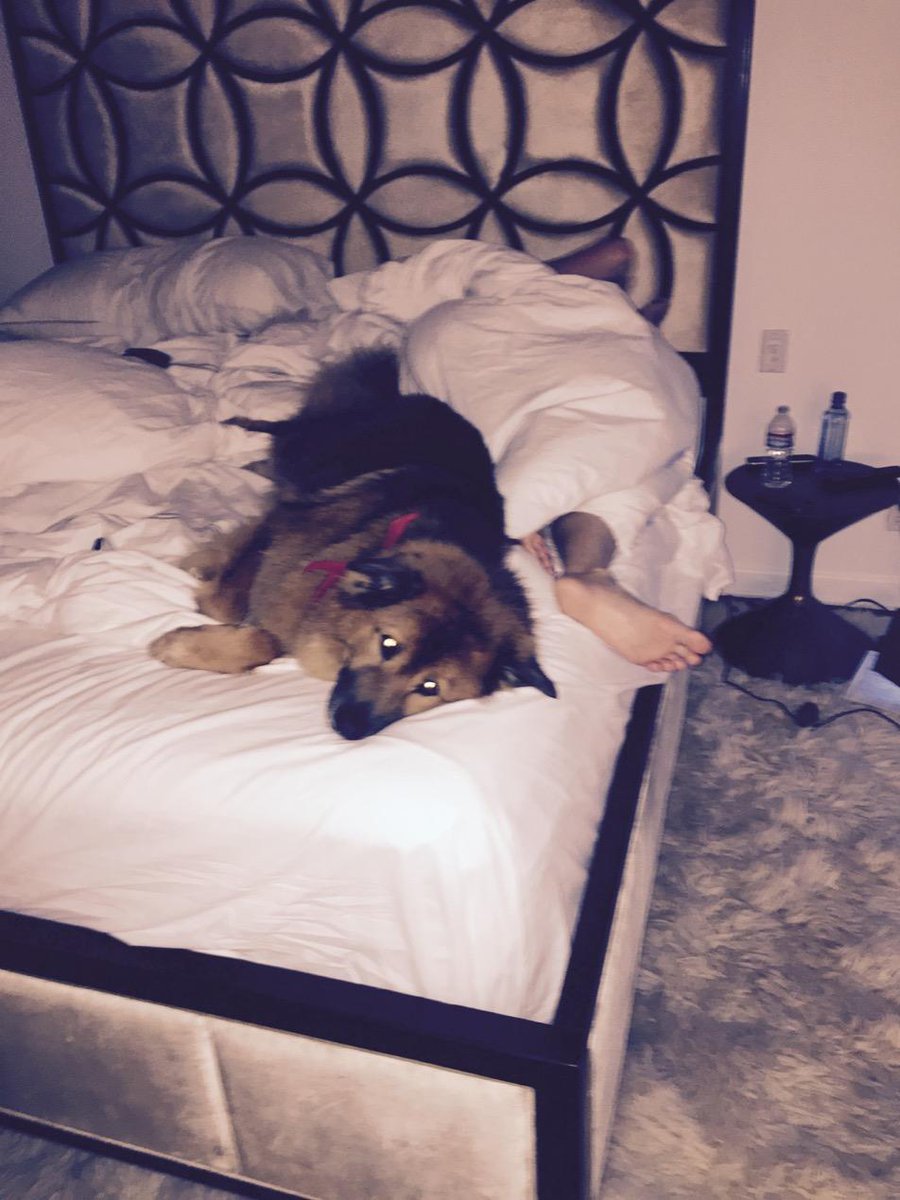 chelseahandler's tweet photo. This is what it's like to live with a lesbian. http://t.co/eqRsBiJYRb