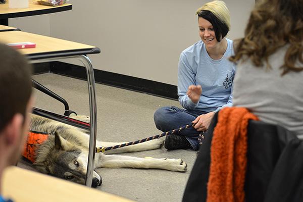 ukinfosci's tweet image. @instructcomm Look who joined the pack today in CIS 112!