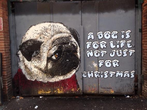 #Hoxton #Puglife #Christmas