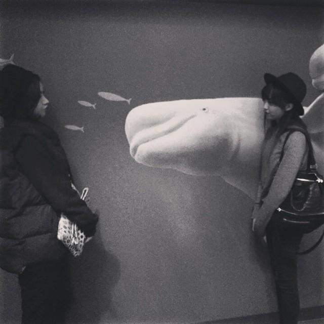 B2FvlQ3CMAMtro7.jpg:large