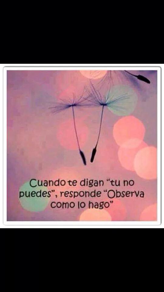 yendernieto's tweet photo. @atreuhh amigo mis sentido pésame por tus amados padres http://t.co/4AdIqDOdo3