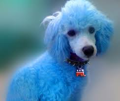 Team_Blue2014 tweet picture