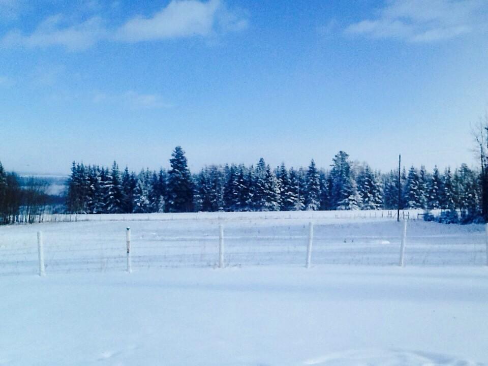 Darrell Newsome tweet media