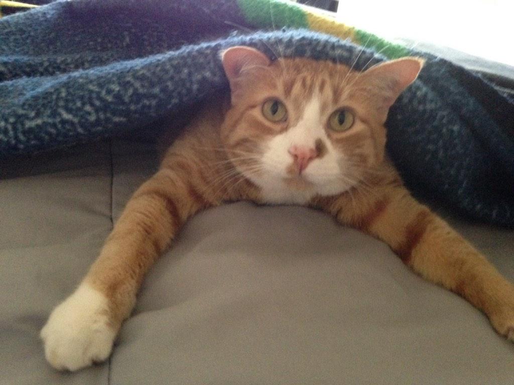 LvmeSB's tweet image. #HelpMoM