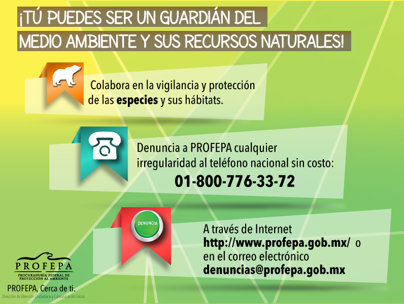 PROFEPA_Mx's tweet photo. Tú puedes ser el guardían del #MedioAmbiente y sus#RecursosNaturales
¡#Denuncia! en http://t.co/oc8erLn0GT http://t.co/B3n0bQ2Lao