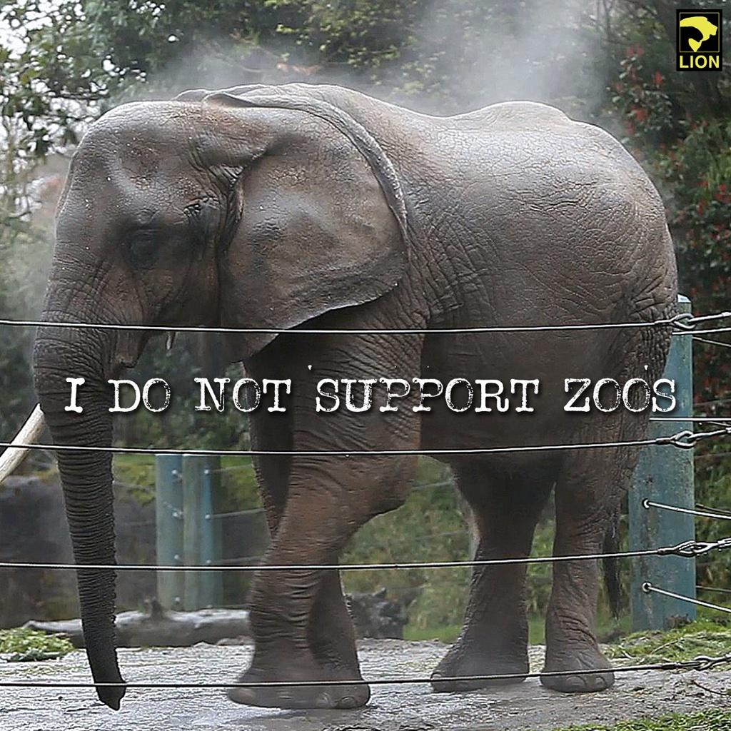 DuckDefenders's tweet photo. Accoring to the @seattletimes in 2012, for every 1 captive elephant birth, an average another 2 die. #PAWSConference http://t.co/8jGpqvmP8J