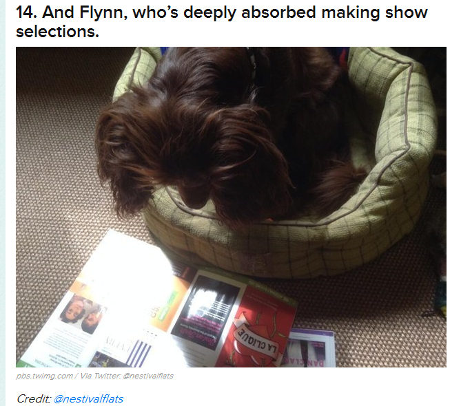Nestival_INTRNL's tweet photo. #RewindtheMemories #PetswithProgrammes @edfringe #FamousFlynn our own house #Critic #reviewer #DatePlanner #Rollon15 http://t.co/QDU6UU20of