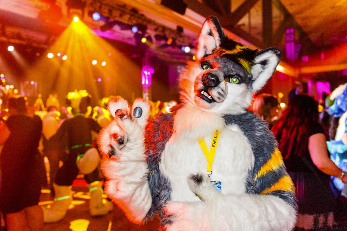 Snep Doge tweet media