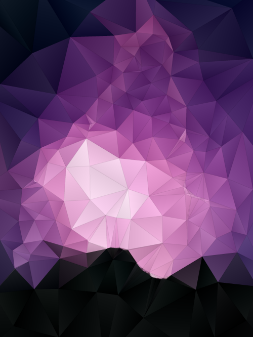 Lowpolybot's tweet photo. @mountainmermaii Your picture is ready: #triangles #gradient #edges #black #thin http://t.co/2G3Or6cJK7