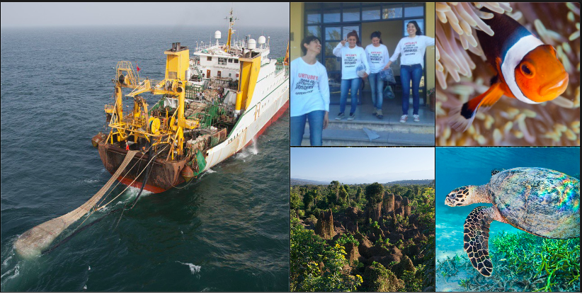 GreenpeaceArg tweet picture