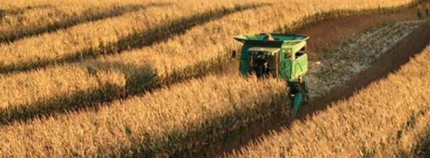 Lee_ag257's tweet photo. Strip intercropping said to increase #corn and #soybean yields! Has anyone seen this? #accaggies http://t.co/Xj9XiduYuO