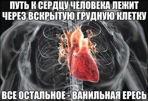 Динамир Снежкин (@dinamirsnej) on Twitter photo 