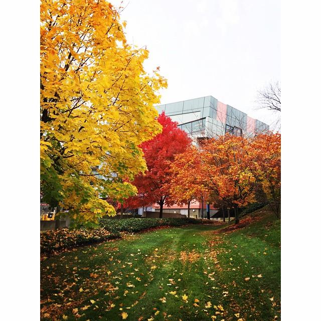 uofcincy's tweet photo. #PrettyPicMonday: View of DAAP (@Q8chemist) http://t.co/HvE9kUSZXa