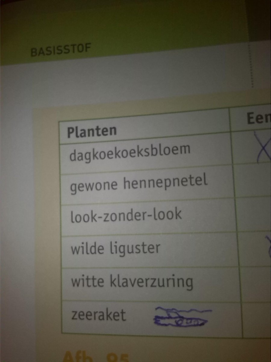 michielk1999's tweet photo. Ik wist niet dat een zeeraket een plant is??!! http://t.co/JPQyguyX0w