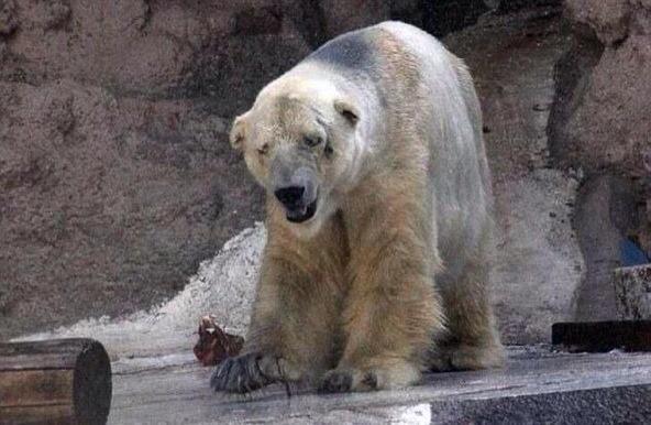 Wismurr's tweet photo. I swear you're dead to me if you don't retweet this...#SpreadAwareness http://t.co/cMrr5AhnH7