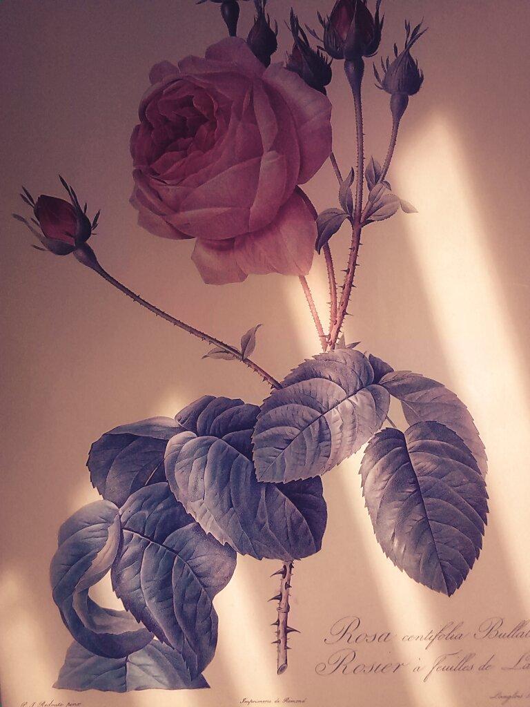 EdricEdrice's tweet photo. I love it http://t.co/HM04m7Pojh