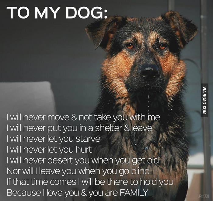 9GAG's tweet photo. I love my dog 😍
http://t.co/lC8d7yfbLH http://t.co/htCs4QGOyz