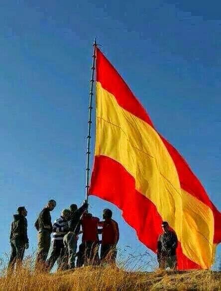 cnacional_'s tweet photo. Defender España no es un delito http://t.co/DE396lL5gl