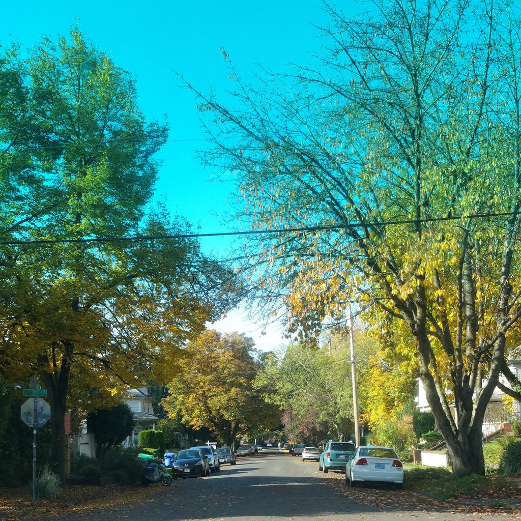 AudioCinema503's tweet photo. What a beautiful fall day! http://t.co/sMeLXzIFWd