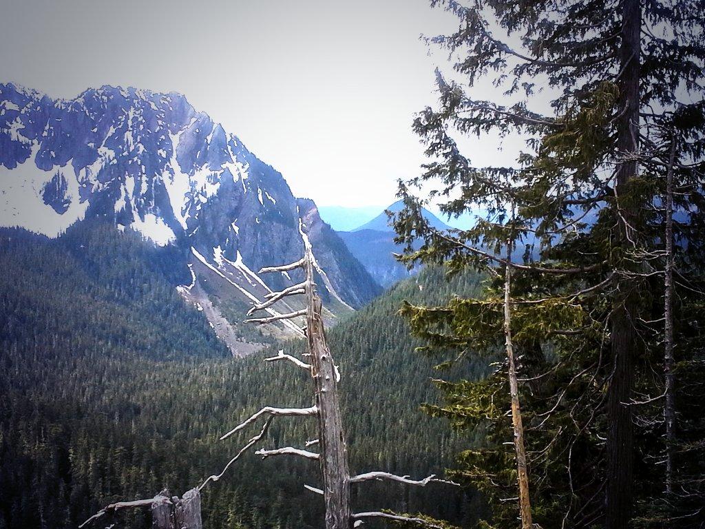 Mexicanpower007's tweet photo. Monte Rainier #noroeste #PacificNorthwest http://t.co/NothSO2kyS
