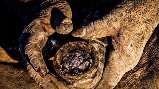 MTVLlVE's tweet photo. 85 Year Old Man Has Not Taken A Bath In 65 Years. Just Wait 'Til You See Him… Whoa!! 😷 http://t.co/1cHzFfmDlB http://t.co/RWnc2JfMnT