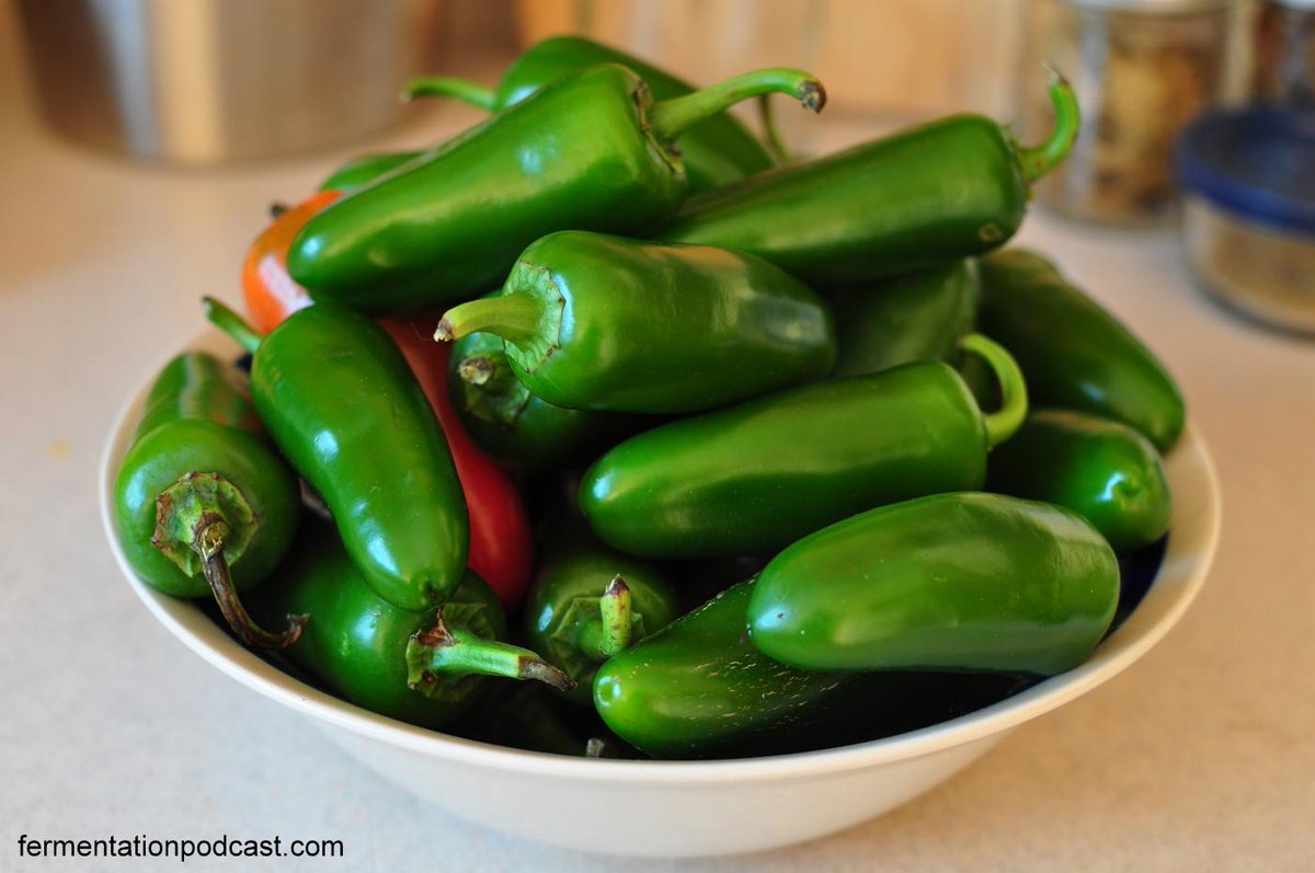 Fermentation Podcast (@fermentationpod) / Posts / X