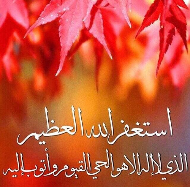❤ tweet media