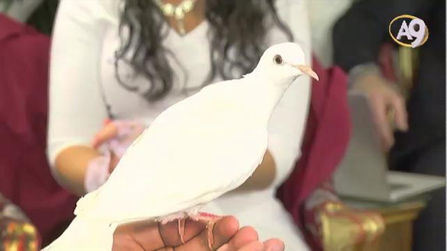 Yaratilistr's tweet photo. 1. Adnan Oktar'ın sevimli kedisi https://t.co/yq96mk7j67 

2. Adnan Oktar'ın güvercini https://t.co/xbo1CSjE4h http://t.co/s5yVVO3VGG