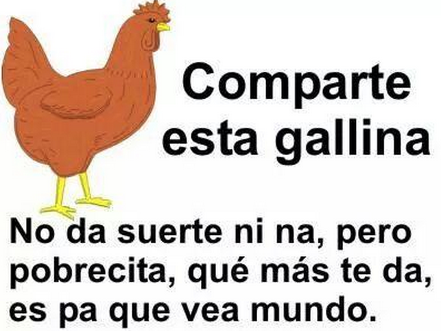 verne's tweet photo. Tú también has enviado alguno de estos chistes por WhatsApp... Y lo sabes  http://t.co/0NyabIU3GF http://t.co/h1WBpWK5GY