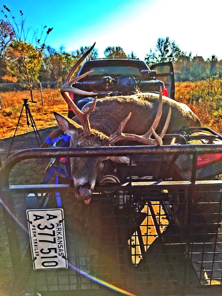 throneberry's tweet photo. Finally got me a good one! #ConwayBuck #WildThroneberrys http://t.co/9jxAWGKER6