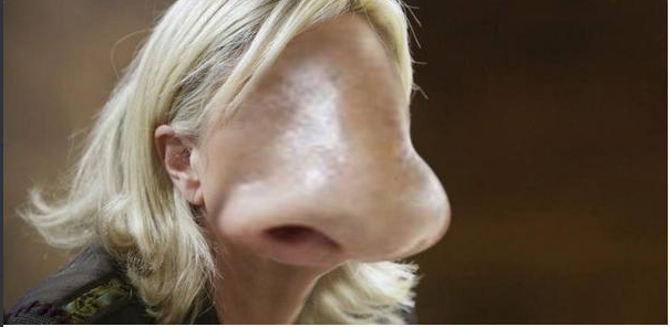 Kenobite_'s tweet image. Je vous présente Narine Le Pen #BlagueDeMerde