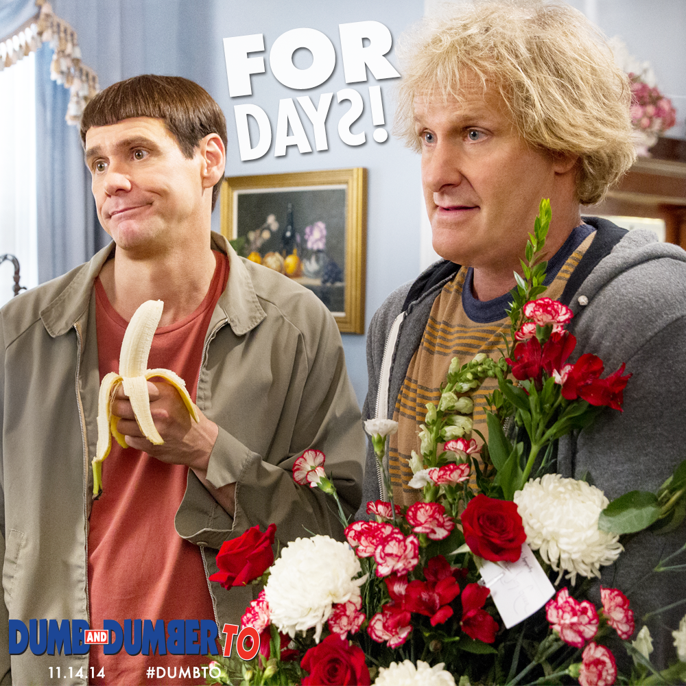 DumbTo's tweet image. Only for more days till #DumbTo! Get your tickets here: unvrs.al/DDMTix  @JimCarrey @Jeff_Daniels
