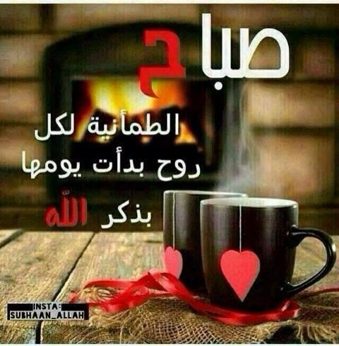 <a href="/kl_20142022/">ريم العبدالله</a> @alalyani6661 <a href="/orakzai_01/">ɪʀғᴀɴ Kʜᴀɴ</a> <a href="/meashal88/">abo_s6am</a> <a href="/almiaa19/">عالمية_NFC</a> <a href="/0900800/">العوني 17 دوري</a> <a href="/xczd12345/">💙MANSOUR💛</a> <a href="/4ae24/">الحمـــداللـــه</a> <a href="/aalsarhan13/">نفائس عروض الخير للعقارات 2 للتواصل 0558899712</a>