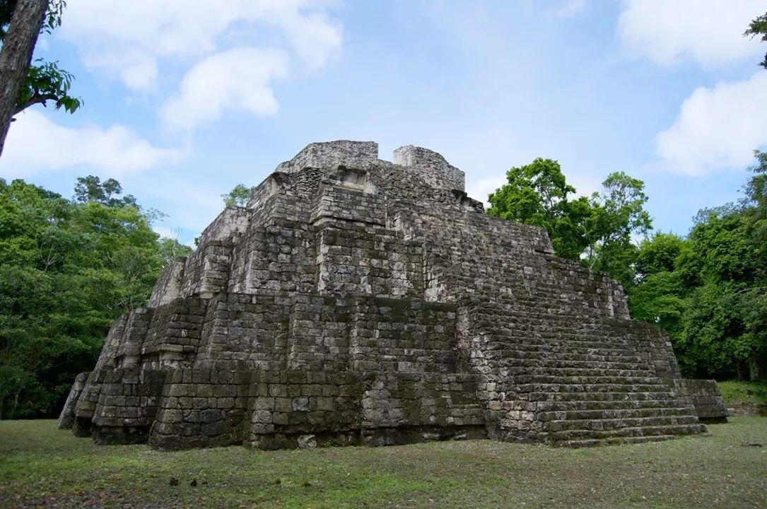 PetenerosGT's tweet photo. Templo de los tableros, #Yaxhá, #Petén
Foto: Rony Rodriguez
#Guatemala #Maya #Tikal #Peten #Flores #Tree #nature http://t.co/PFbpmuicCy