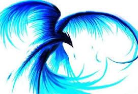 Last award for #gigatownwanaka tweeters! You are ALL tweeting AVATARS. A great &amp; fantastic effort.