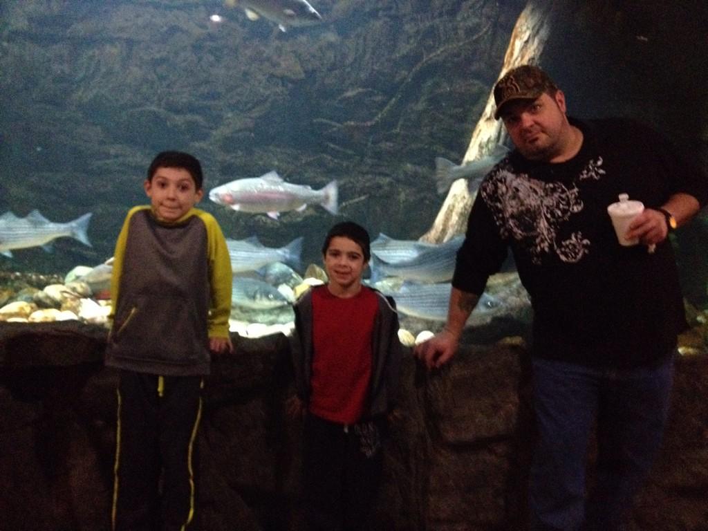 ladylucklaura13's tweet photo. Hangin with some stripped bass at Cabelas tonight! @CabelasFish #tweetthefish @CHEFGENNARO @Cabelas http://t.co/3j9CLPH756