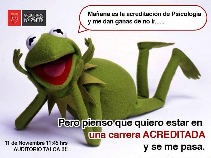 Kristov_al's tweet photo. MAÑANA! , AUDITORIO TALCA , #UAUTONOMA #ACREDITACION #ElSapoSabe http://t.co/hDB5uFmckc