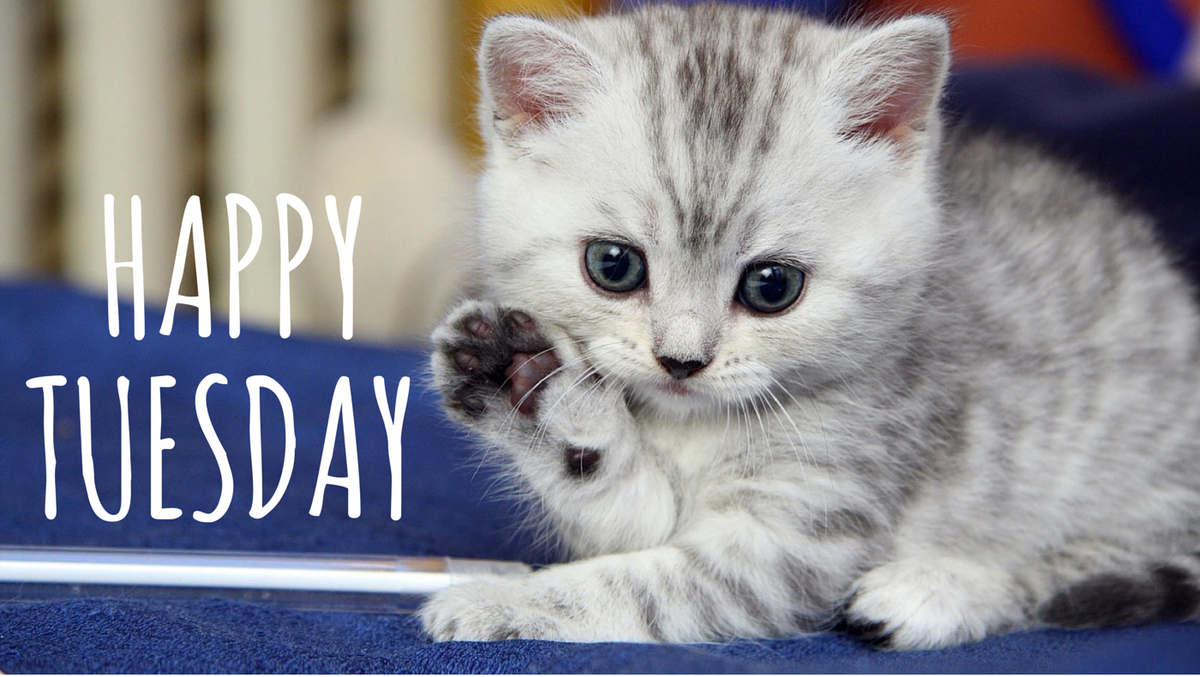 AusOffers's tweet photo. Have a great #tuesday ! http://t.co/2qZCCDI1EG