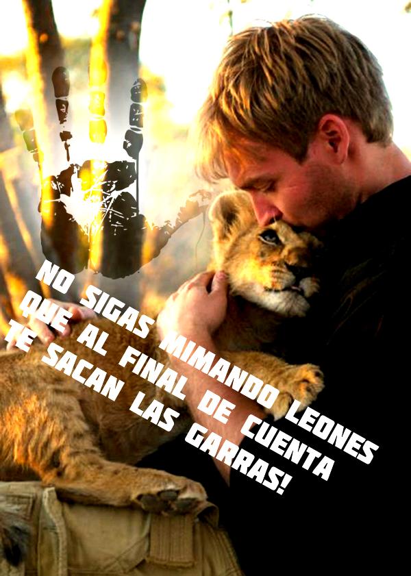 Unidos Somos más. (@cesarina1229) on Twitter photo 